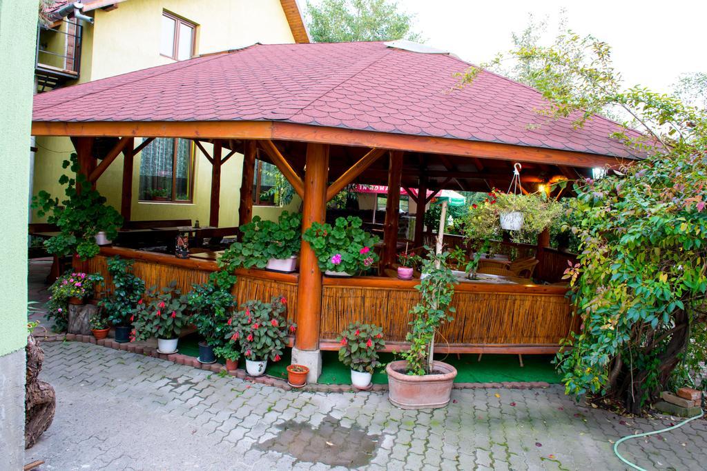 Pensiunea Dragonul Avrig Exterior photo