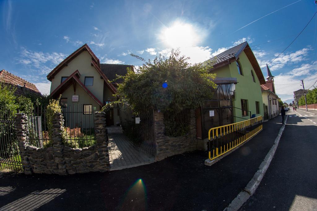 Pensiunea Dragonul Avrig Exterior photo