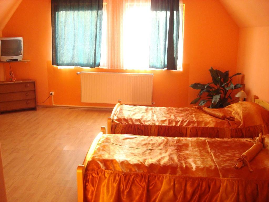 Pensiunea Dragonul Avrig Room photo